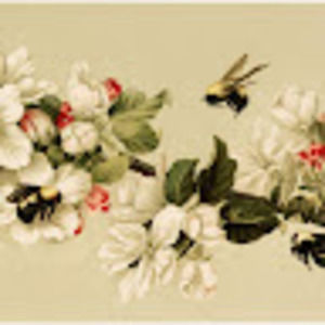 Meet your Posher, Ian